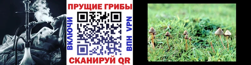 маркетплейс телеграм  Новая Ляля  Галлюциногенные грибы Cubensis  даркнет сайт 