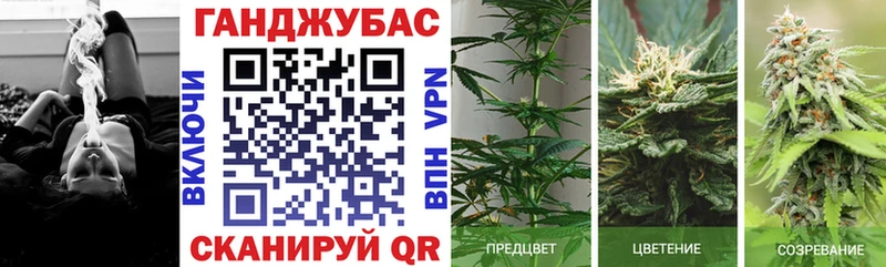 купить наркотики сайты  Новая Ляля  Канабис марихуана 